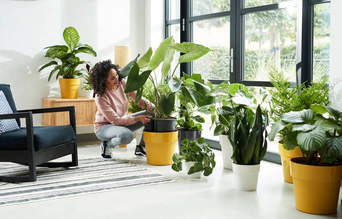 b.for original round mini 9cm ochre